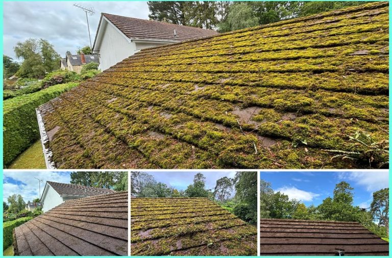 scraping moss off roof tiles before biocide treatment. A roof covered in thick green moss with surrounding greenery and a clear sky.