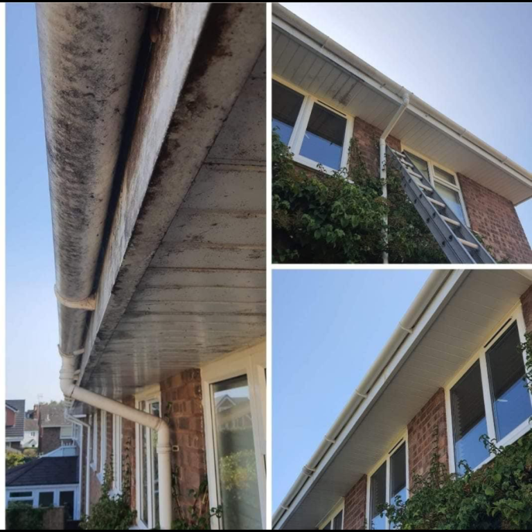 Gutter Cleaning In Wellington, Somerset Close-up of a building's guttering with a ladder and clear sky in the background.