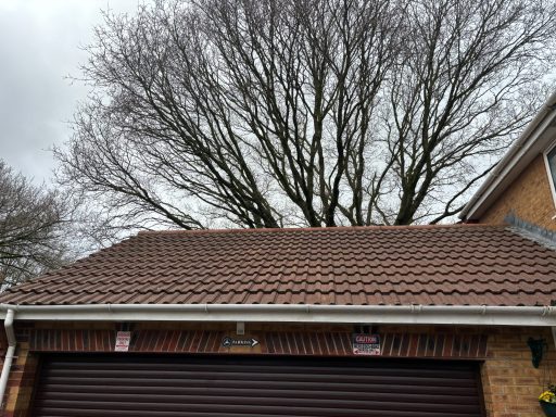 Roof Clean After