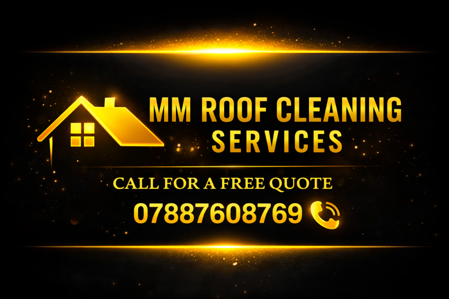 Professional Roof Cleaning in Wellington, Somerset.